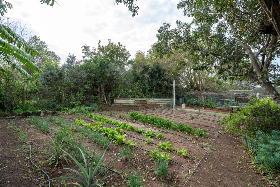 3 Bedroom Property for Sale in Bathurst Eastern Cape